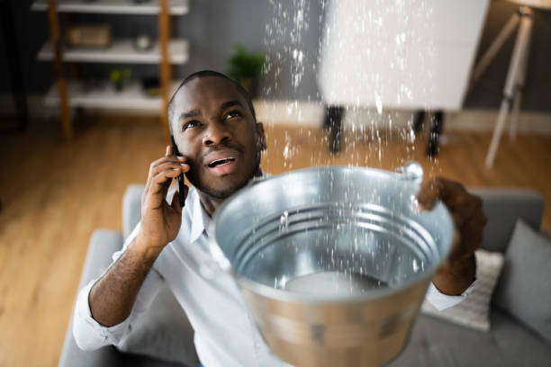Best Water damage mitigation services  in Green Springs, OH