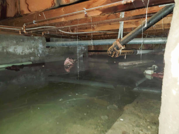 Best 24-hour water damage restoration  in Green Springs, OH