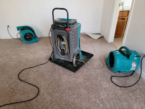 Best Residential water damage restoration  in Green Springs, OH