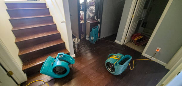 Best Flood restoration services  in Green Springs, OH