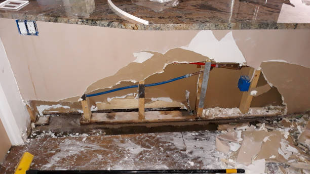 Best Sewage cleanup and water damage restoration  in Green Springs, OH