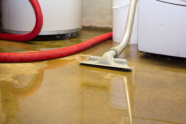 Best Water damage restoration near me  in Green Springs, OH