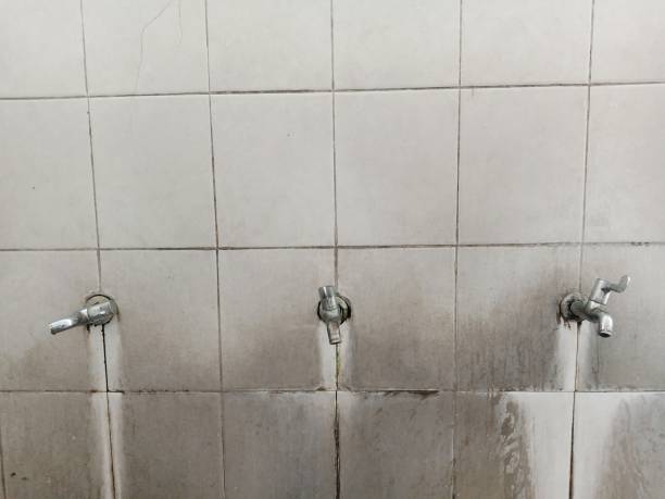 Best Fire Damage Restoration  in Green Springs, OH
