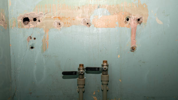 Best Basement water damage restoration  in Green Springs, OH